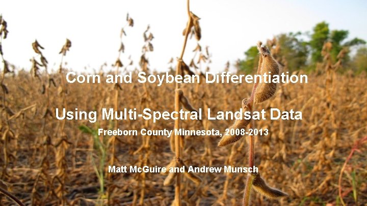 Corn and Soybean Differentiation Using Multi-Spectral Landsat Data Freeborn County Minnesota, 2008 -2013 Matt
