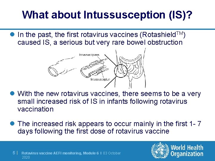 What about Intussusception (IS)? l In the past, the first rotavirus vaccines (Rotashield. TM)