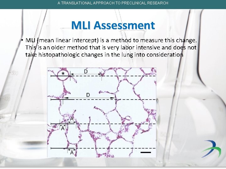 A TRANSLATIONAL APPROACH TO PRECLINICAL RESEARCH MLI Assessment • MLI (mean linear intercept) is