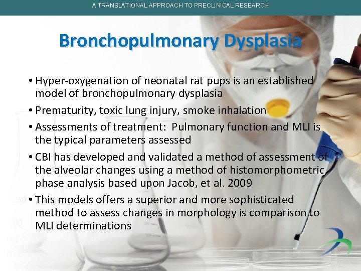 A TRANSLATIONAL APPROACH TO PRECLINICAL RESEARCH Bronchopulmonary Dysplasia • Hyper-oxygenation of neonatal rat pups