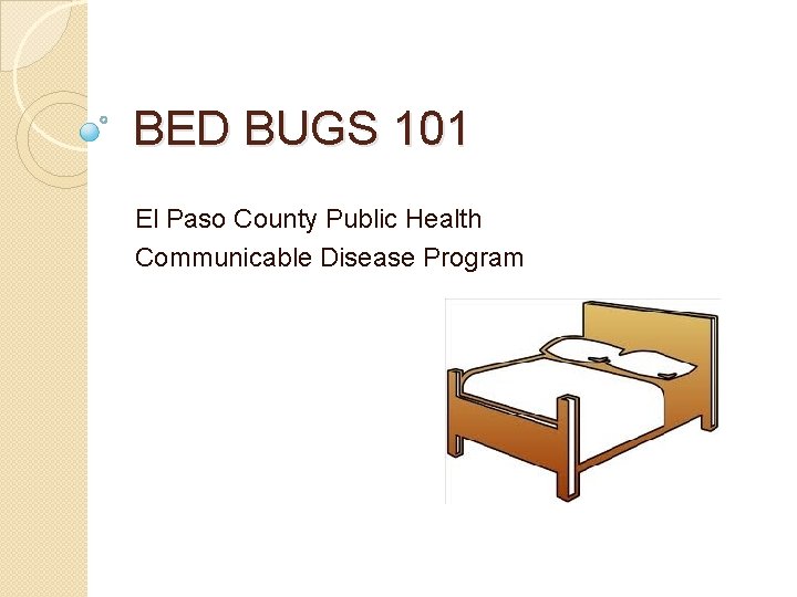 BED BUGS 101 El Paso County Public Health Communicable Disease Program 
