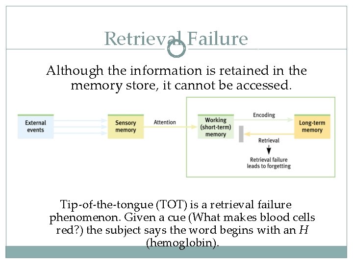 Retrieval Failure Although the information is retained in the memory store, it cannot be