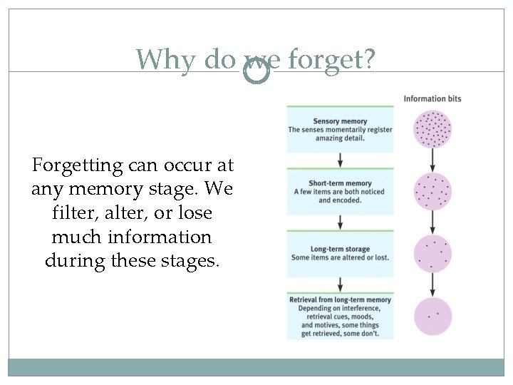 Why do we forget? Forgetting can occur at any memory stage. We filter, alter,