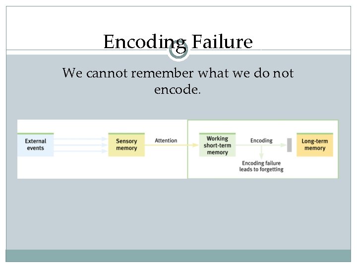 Encoding Failure We cannot remember what we do not encode. 