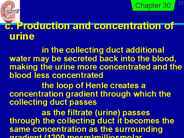 Chapter 30 21 c. Production and concentration of urine in the collecting duct additional