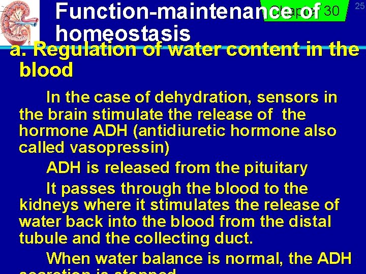 Chapter Function-maintenance of 30 homeostasis 25 a. Regulation of water content in the blood