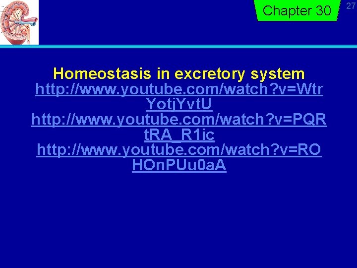Chapter 30 Homeostasis in excretory system http: //www. youtube. com/watch? v=Wtr Yotj. Yvt. U