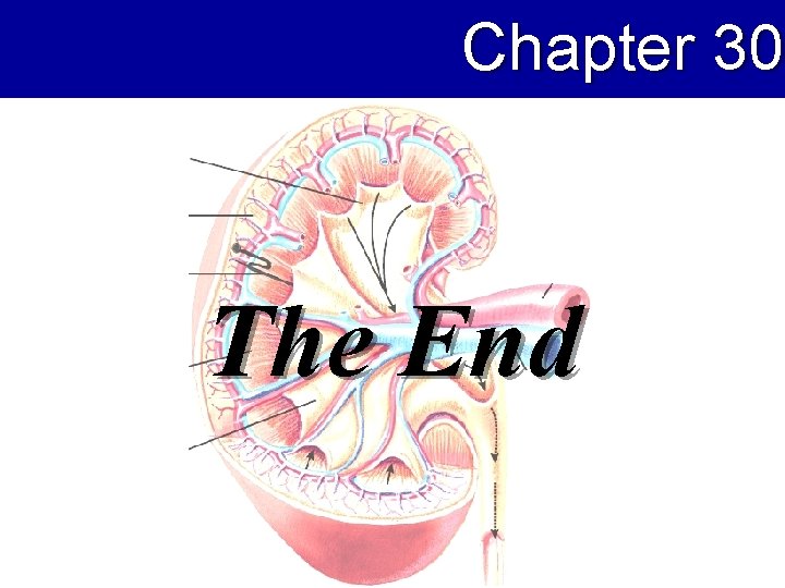 Chapter 30 The End 