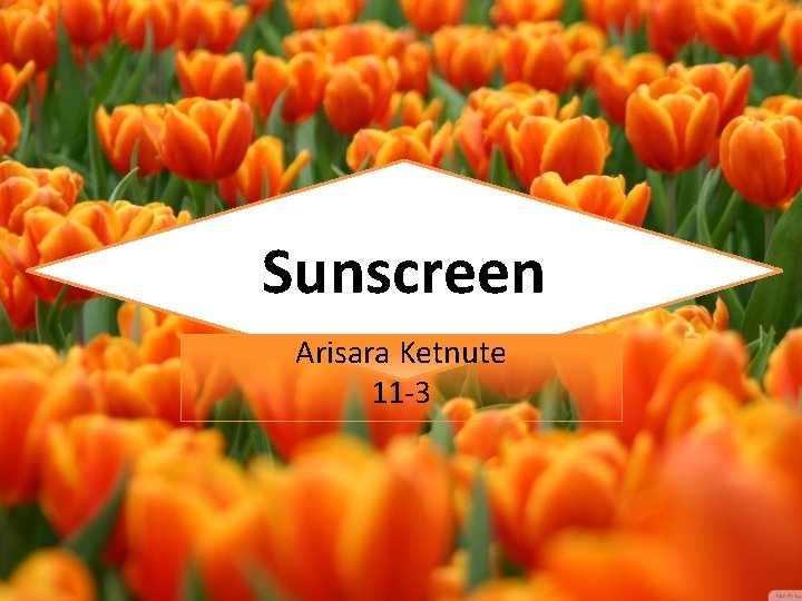 Sunscreen Arisara Ketnute 11 -3 