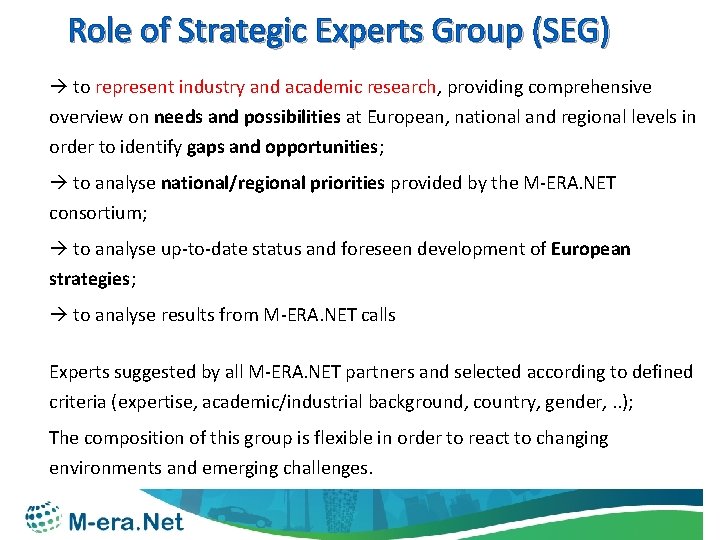 Role of Strategic Experts Group (SEG) to represent industry and academic research, providing comprehensive