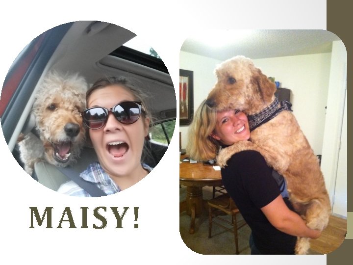 MAISY! 