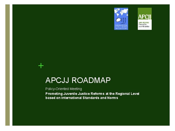 APCJJ ROADMAP PolicyOriented Meeting Promoting Juvenile Justice Reforms