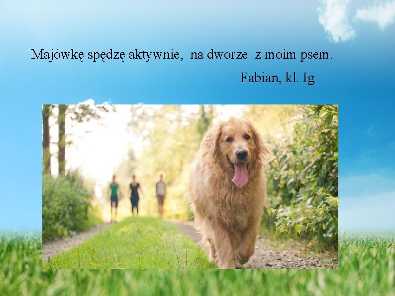  Majówkę spędzę aktywnie, na dworze z moim psem. Fabian, kl. Ig 