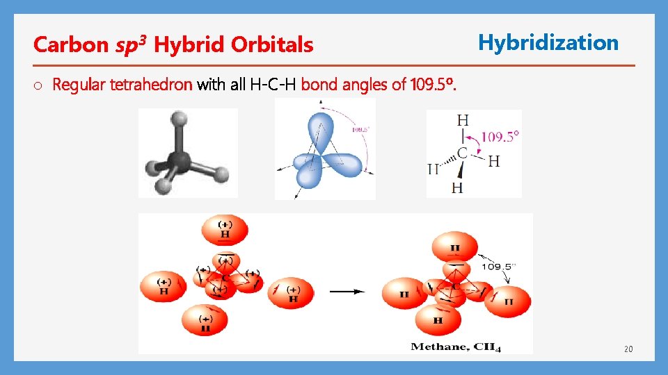 Carbon sp 3 Hybrid Orbitals Hybridization o Regular tetrahedron with all H-C-H bond angles