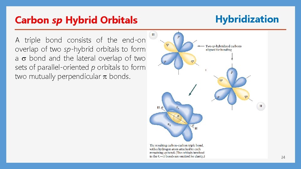 Carbon sp Hybrid Orbitals Hybridization A triple bond consists of the end-on overlap of
