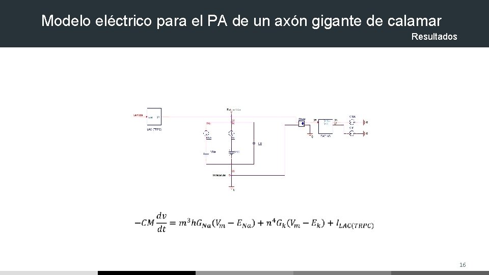 Modelo eléctrico para el PA de un axón gigante de calamar Resultados 16 Modelo eléctrico para el PA de un axón gigante de calamar Resultados 16