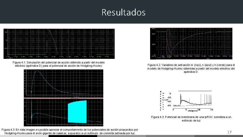 Resultados Figura 4. 1: Simulación del potencial de acción obtenido a partir del modelo Resultados Figura 4. 1: Simulación del potencial de acción obtenido a partir del modelo