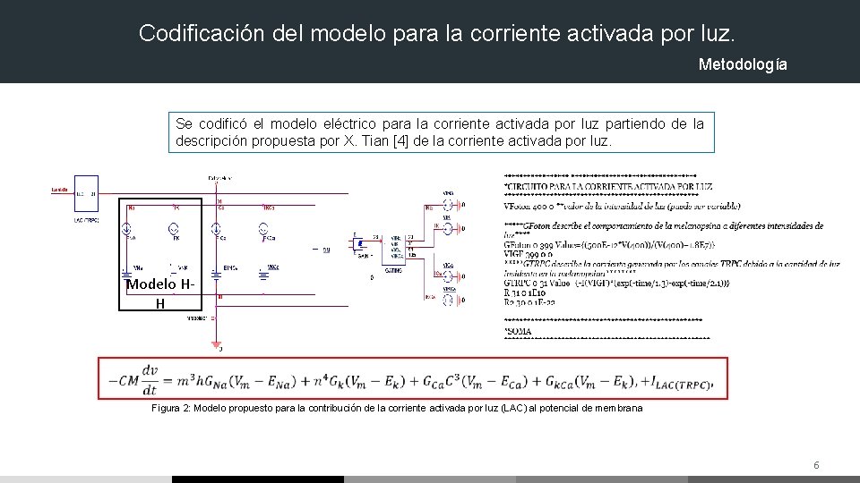 Codificación del modelo para la corriente activada por luz. Metodología Se codificó el modelo Codificación del modelo para la corriente activada por luz. Metodología Se codificó el modelo
