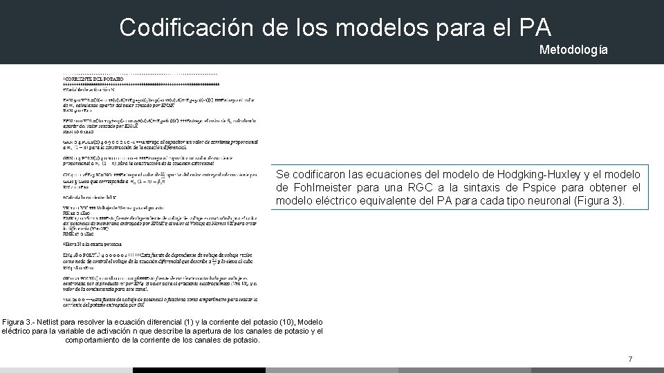 Codificación de los modelos para el PA Metodología Se codificaron las ecuaciones del modelo Codificación de los modelos para el PA Metodología Se codificaron las ecuaciones del modelo