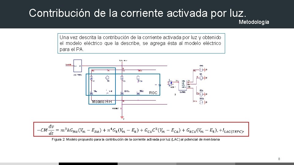 Contribución de la corriente activada por luz. Metodología Una vez descrita la contribución de Contribución de la corriente activada por luz. Metodología Una vez descrita la contribución de