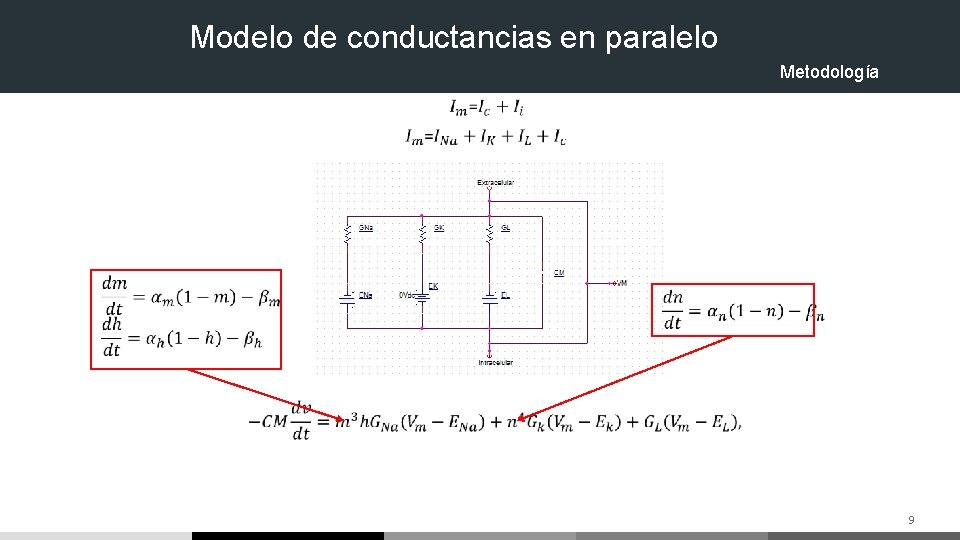 Modelo de conductancias en paralelo Metodología 9 Modelo de conductancias en paralelo Metodología 9
