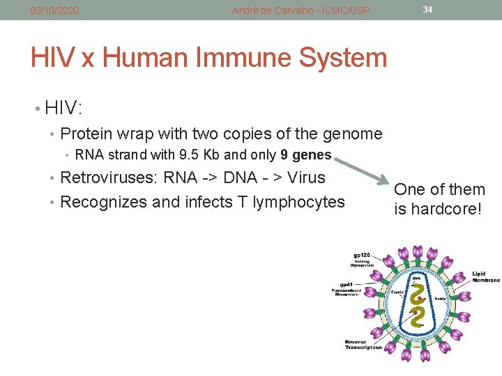 03/10/2020 André de Carvalho - ICMC/USP 34 HIV x Human Immune System • HIV: 03/10/2020 André de Carvalho - ICMC/USP 34 HIV x Human Immune System • HIV: