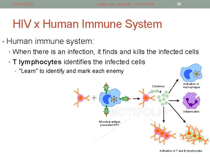 03/10/2020 André de Carvalho - ICMC/USP 35 HIV x Human Immune System • Human 03/10/2020 André de Carvalho - ICMC/USP 35 HIV x Human Immune System • Human