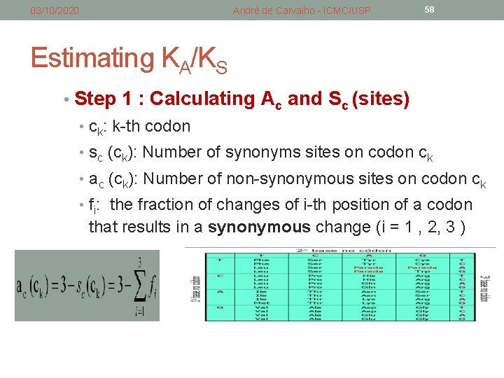 03/10/2020 André de Carvalho - ICMC/USP 58 Estimating KA/KS • Step 1 : Calculating 03/10/2020 André de Carvalho - ICMC/USP 58 Estimating KA/KS • Step 1 : Calculating