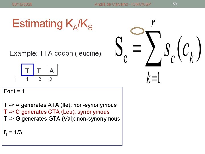 03/10/2020 André de Carvalho - ICMC/USP Estimating KA/KS Example: TTA codon (leucine) i T 03/10/2020 André de Carvalho - ICMC/USP Estimating KA/KS Example: TTA codon (leucine) i T