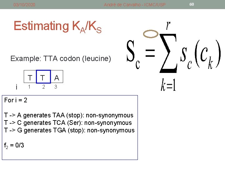 03/10/2020 André de Carvalho - ICMC/USP Estimating KA/KS Example: TTA codon (leucine) i T 03/10/2020 André de Carvalho - ICMC/USP Estimating KA/KS Example: TTA codon (leucine) i T