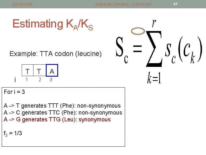 03/10/2020 André de Carvalho - ICMC/USP Estimating KA/KS Example: TTA codon (leucine) i T 03/10/2020 André de Carvalho - ICMC/USP Estimating KA/KS Example: TTA codon (leucine) i T
