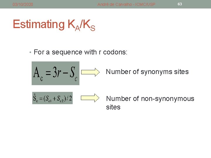 03/10/2020 André de Carvalho - ICMC/USP 63 Estimating KA/KS • For a sequence with 03/10/2020 André de Carvalho - ICMC/USP 63 Estimating KA/KS • For a sequence with