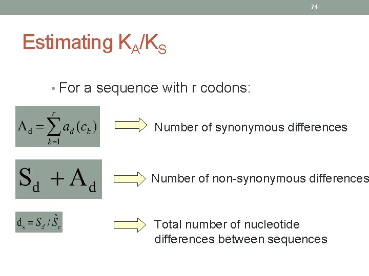 74 Estimating KA/KS • For a sequence with r codons: Number of synonymous differences 74 Estimating KA/KS • For a sequence with r codons: Number of synonymous differences