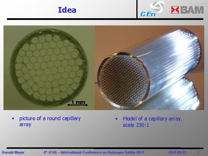Idea 1 mm • picture of a round capillary array Ronald Meyer • Model