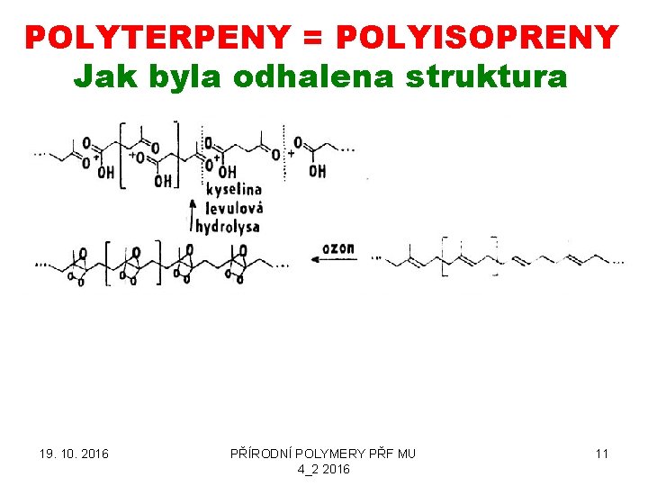 POLYTERPENY = POLYISOPRENY Jak byla odhalena struktura 19. 10. 2016 PŘÍRODNÍ POLYMERY PŘF MU