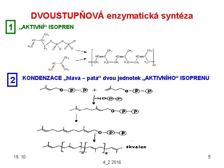 DVOUSTUPŇOVÁ enzymatická syntéza 1 „AKTIVNÍ“ ISOPREN 2 KONDENZACE „hlava – pata“ dvou jednotek „AKTIVNÍHO“