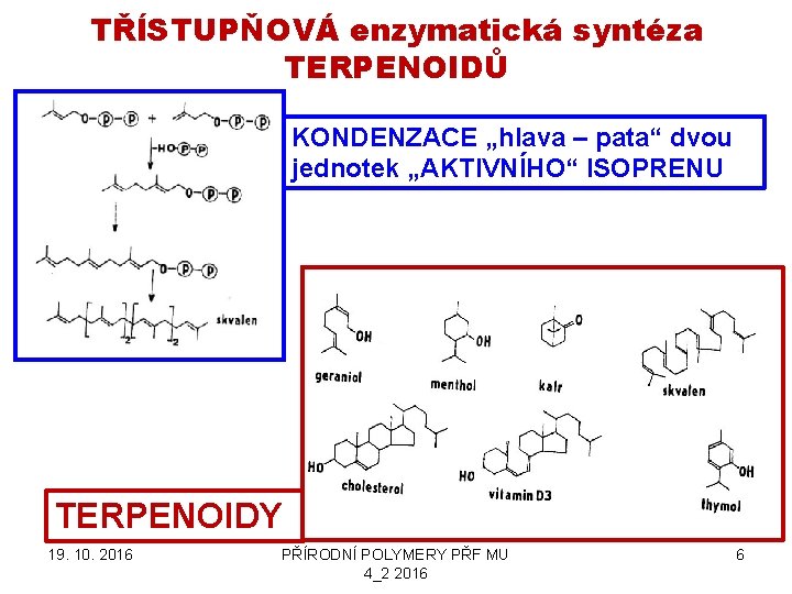 TŘÍSTUPŇOVÁ enzymatická syntéza TERPENOIDŮ KONDENZACE „hlava – pata“ dvou jednotek „AKTIVNÍHO“ ISOPRENU TERPENOIDY 19.