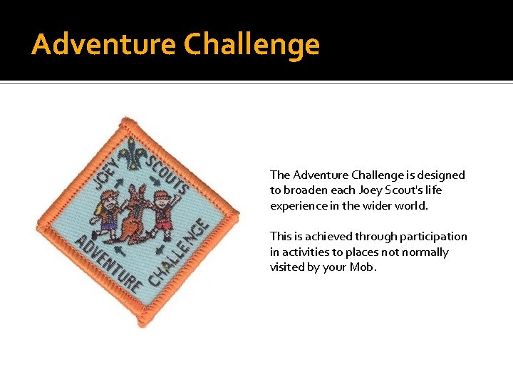 Adventure Challenge The Adventure Challenge is designed to broaden each Joey Scout's life experience