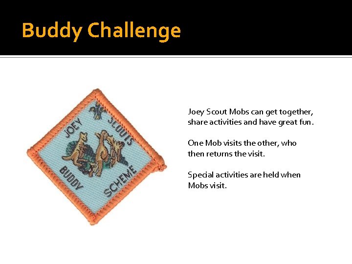 Buddy Challenge Joey Scout Mobs can get together, share activities and have great fun.