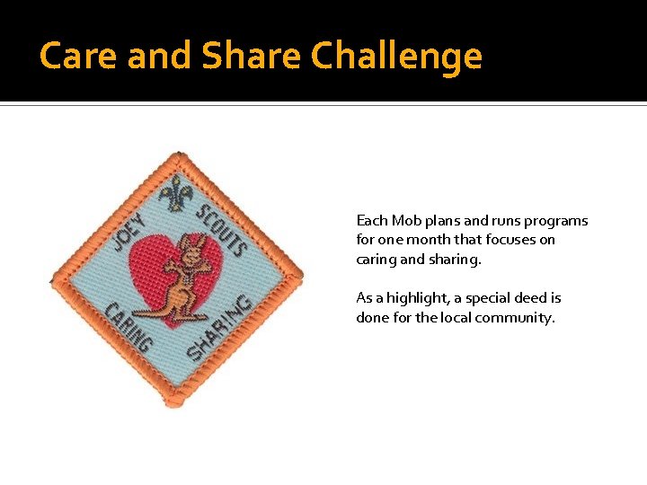 Care and Share Challenge Each Mob plans and runs programs for one month that