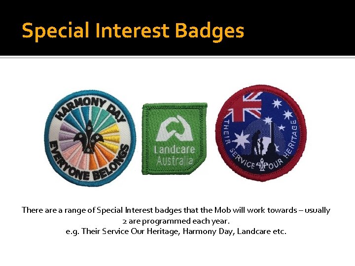 Special Interest Badges There a range of Special Interest badges that the Mob will