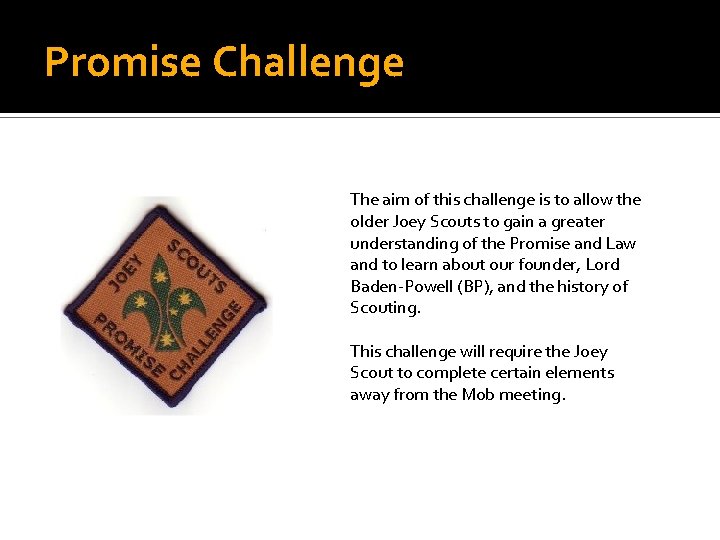 Promise Challenge The aim of this challenge is to allow the older Joey Scouts