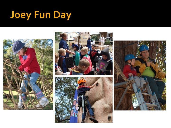 Joey Fun Day 