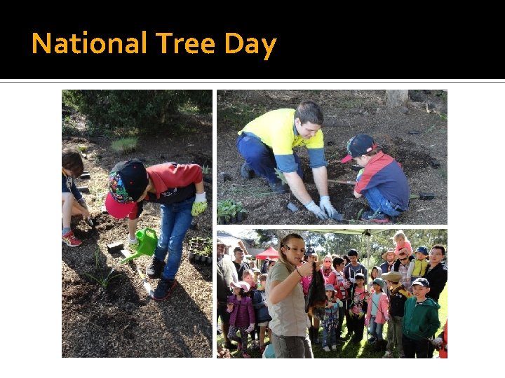 National Tree Day 