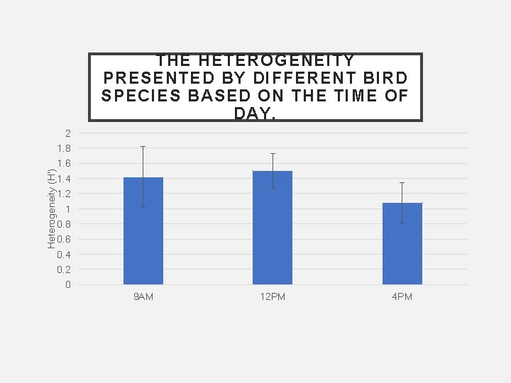 THE HETEROGENEITY PRESENTED BY DIFFERENT BIRD SPECIES BASED ON THE TIME OF DAY. 2