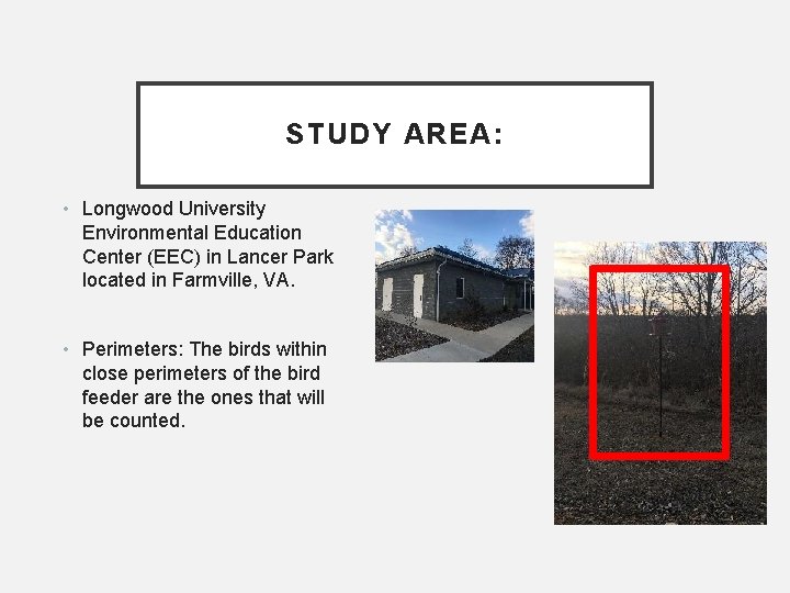 STUDY AREA: • Longwood University Environmental Education Center (EEC) in Lancer Park located in