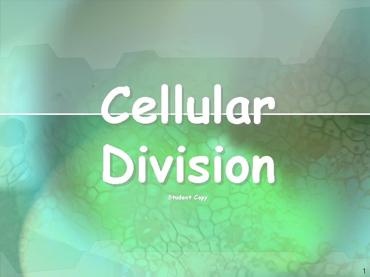 Cellular Division Student Copy 1 