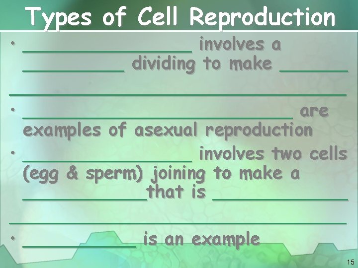 Types of Cell Reproduction • ________ involves a _____ dividing to make __________________ •