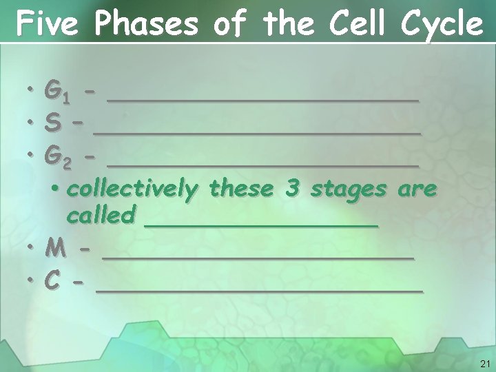 Five Phases of the Cell Cycle • • • G 1 - __________ S