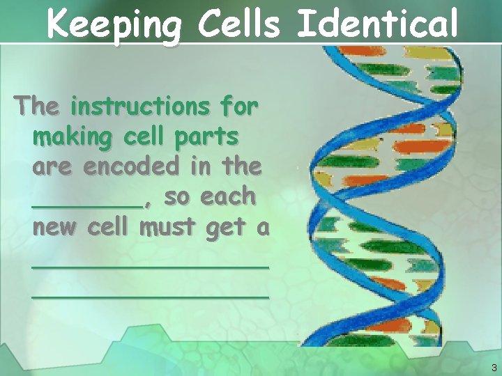 Keeping Cells Identical The instructions for making cell parts are encoded in the _______,